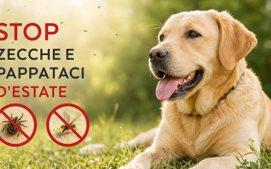 STOP Zecche e Pappataci d’Estate: Consigli Naturali per Proteggere il Cane